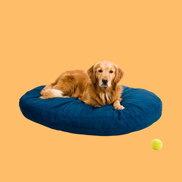 Gyvūnų prekės - Originalu-pigu