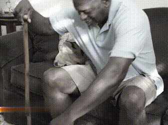 Sulankstoma lazdelė senjorams su šviesele - Originalu-pigu