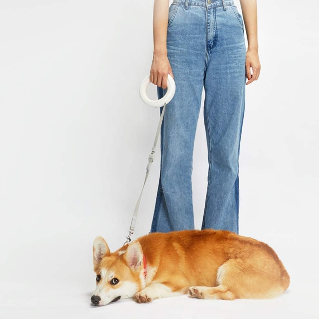 Šviečiantis šuns pavadėlis - Originalu-pigu