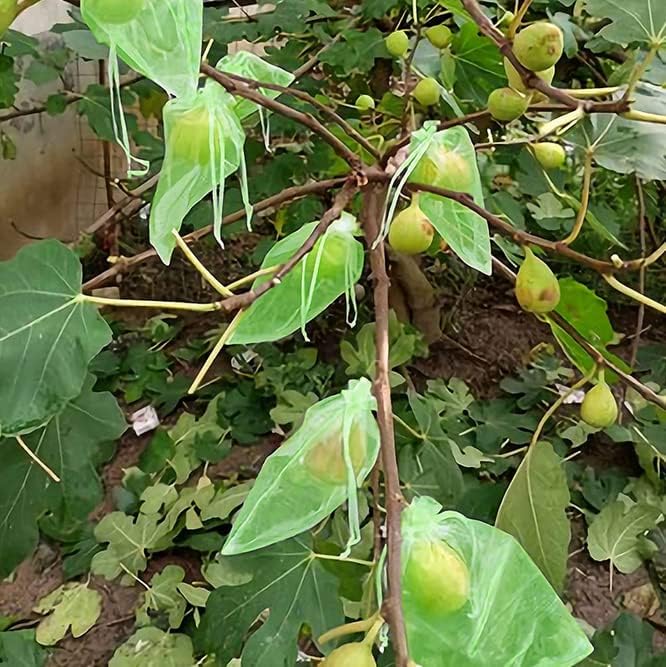 Nuo kenkėjų apsaugantys vaisių maišeliai (100 vnt.) - Originalu-pigu