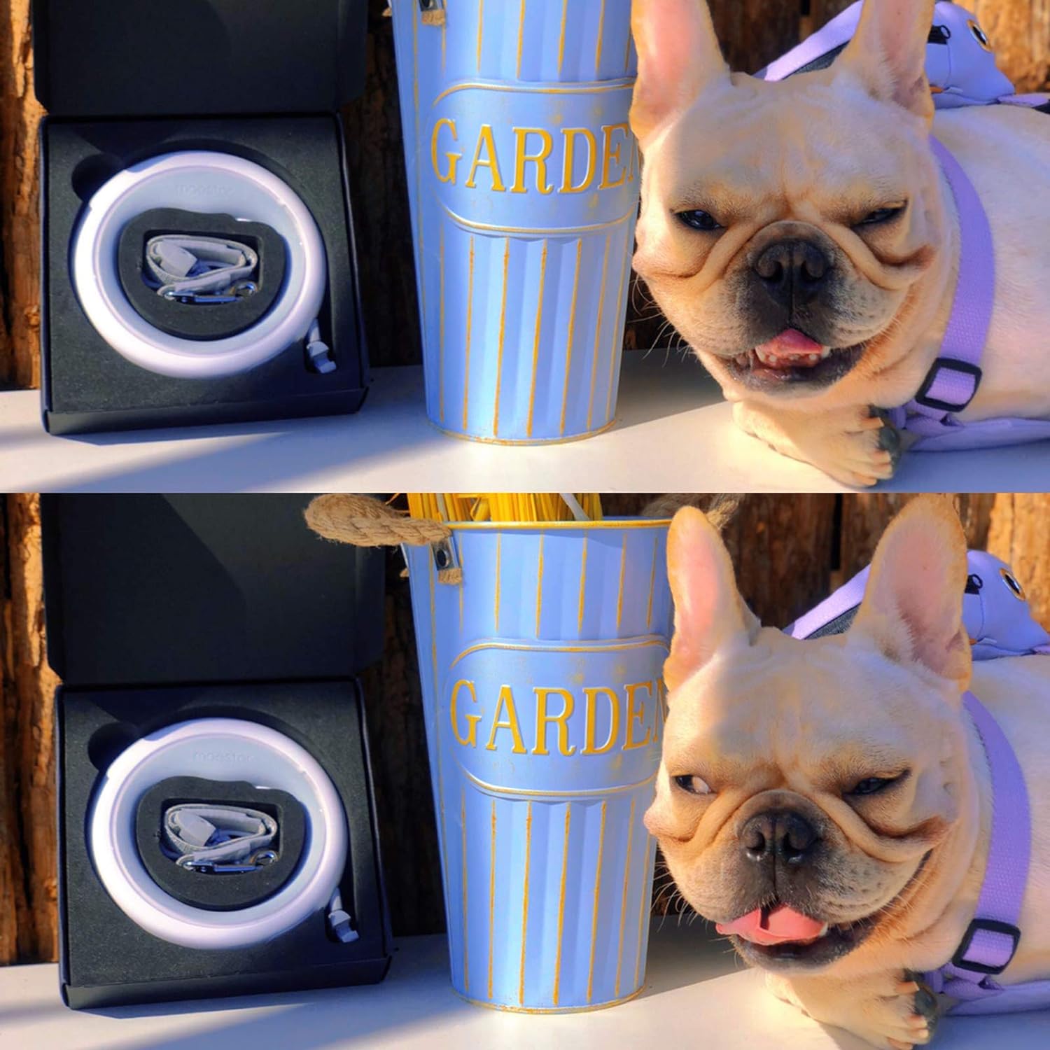 Šviečiantis šuns pavadėlis - Originalu-pigu