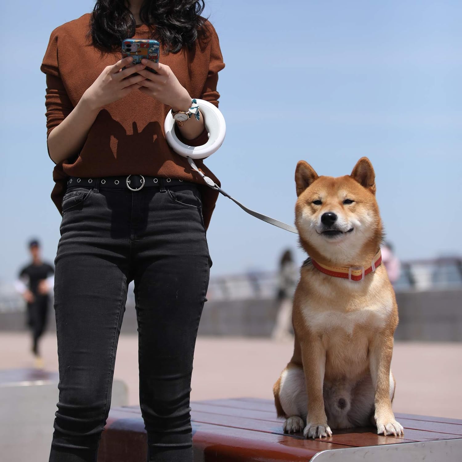 Šviečiantis šuns pavadėlis - Originalu-pigu