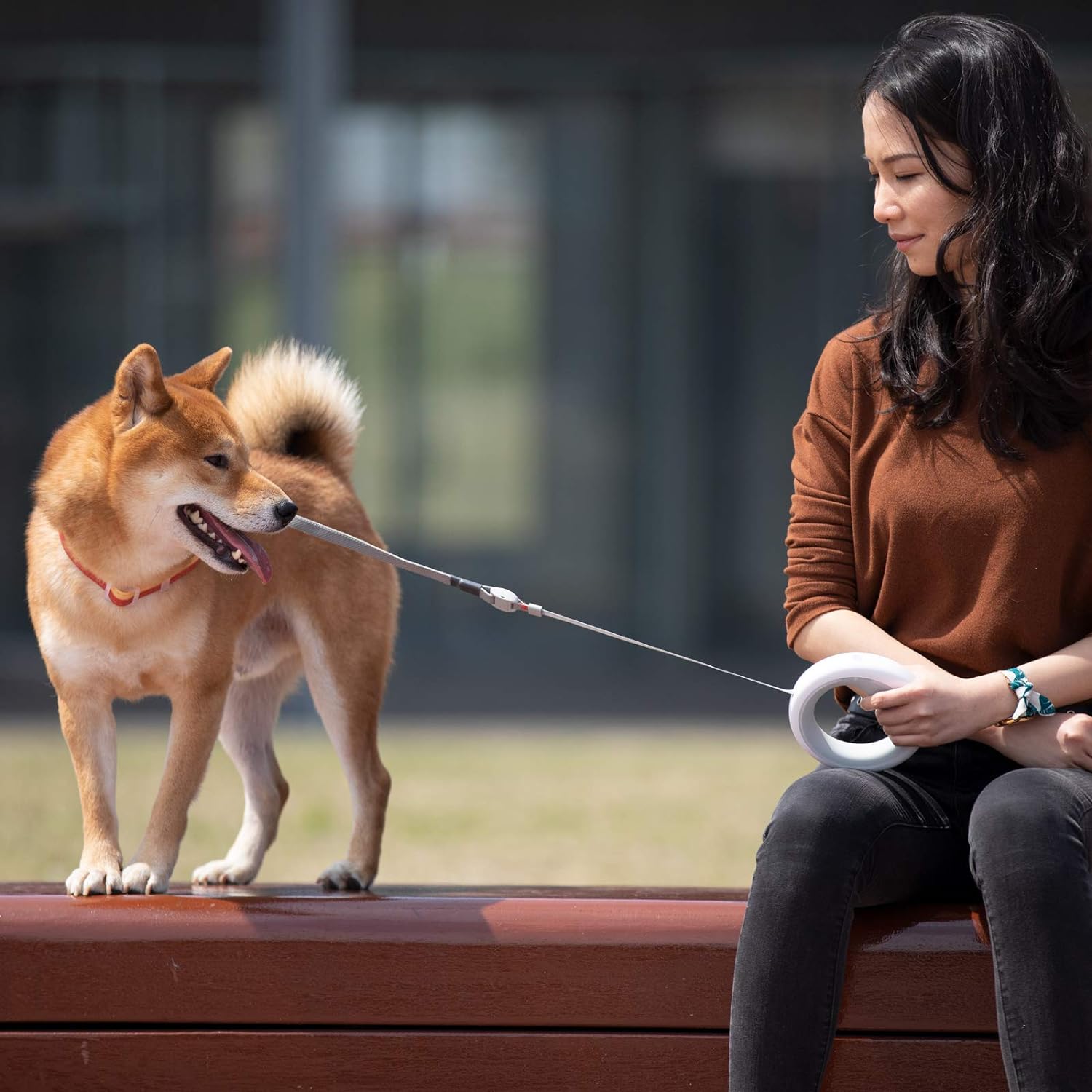 Šviečiantis šuns pavadėlis - Originalu-pigu