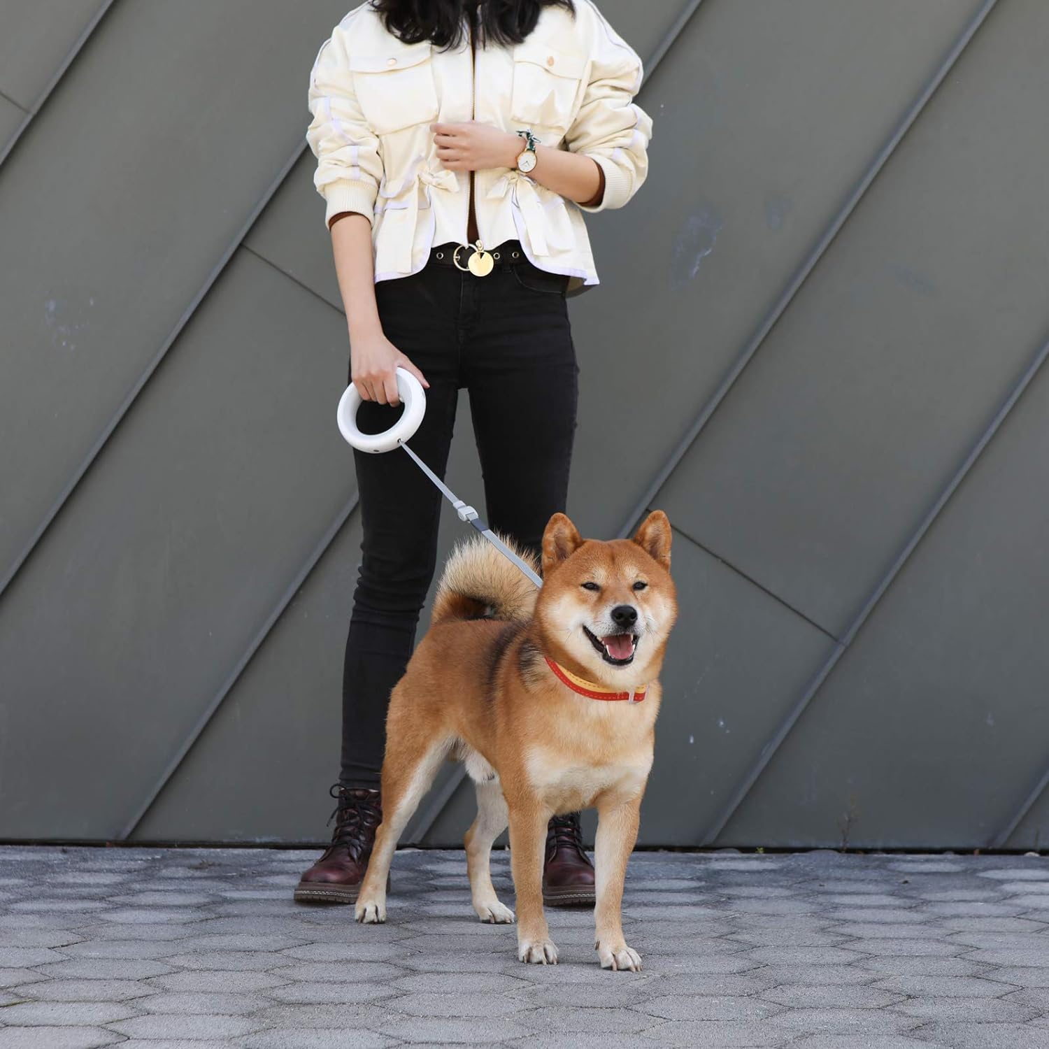 Šviečiantis šuns pavadėlis - Originalu-pigu