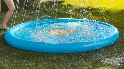 Mini vandens kilimėlis gyvūnams - Originalu-pigu