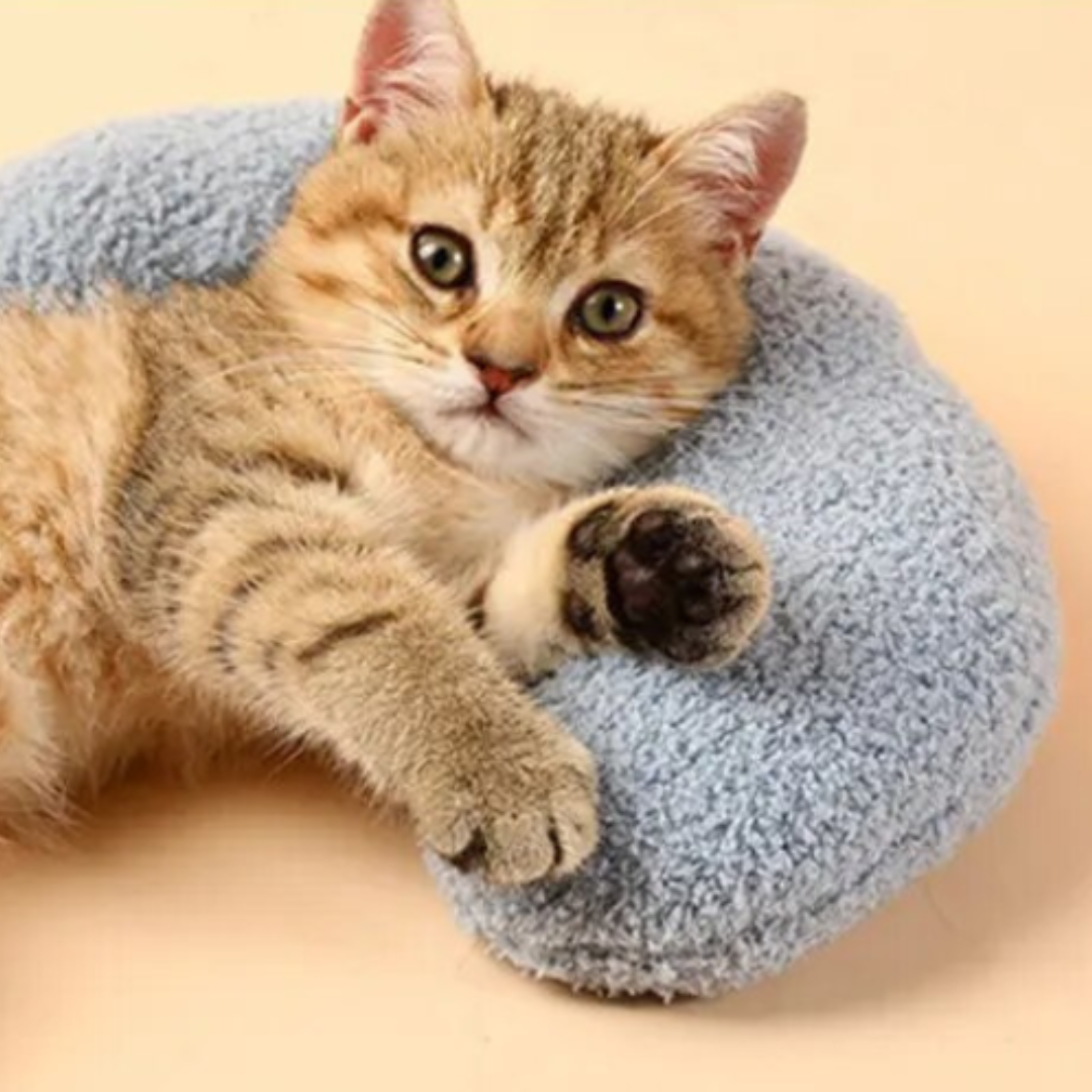 Pagalvėlė jūsų augintiniams - Originalu-pigu