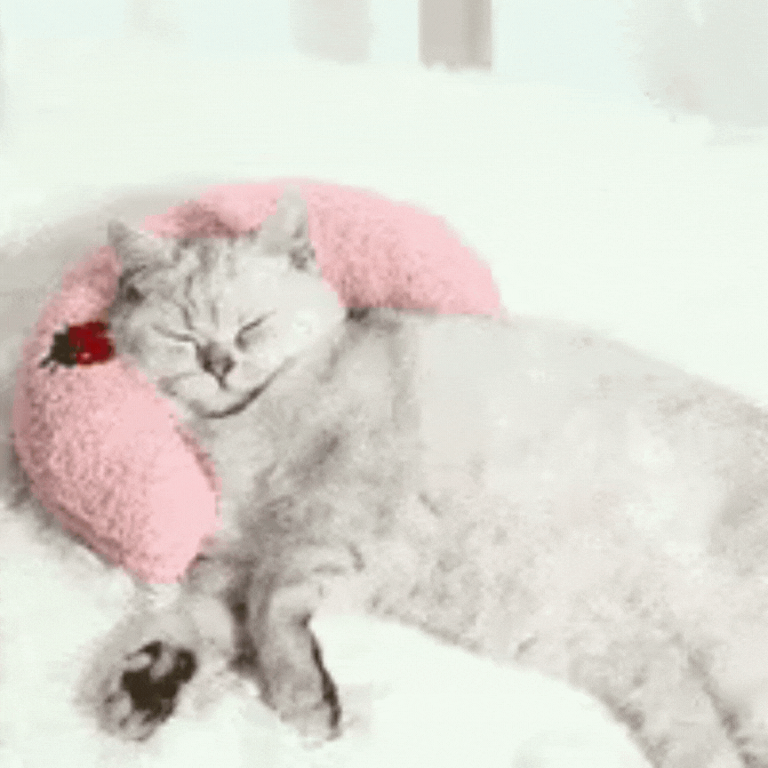 Pagalvėlė jūsų augintiniams - Originalu-pigu