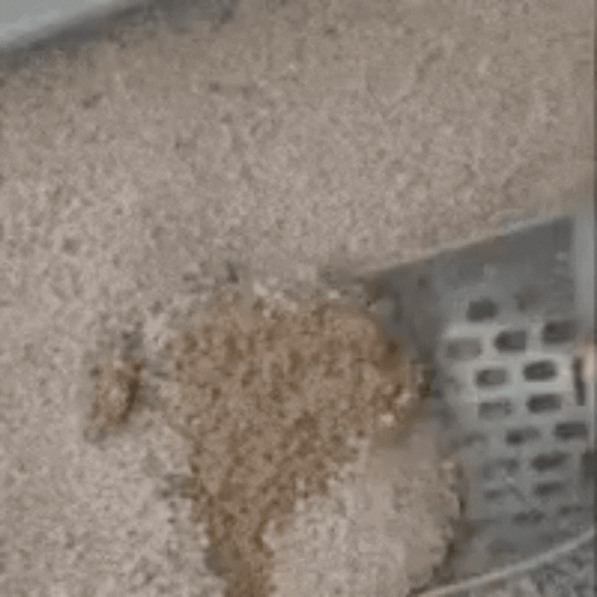 Patogus kraiko surinkėjas - Originalu-pigu