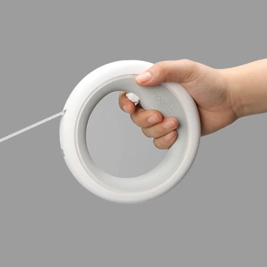 Šviečiantis šuns pavadėlis - Originalu-pigu