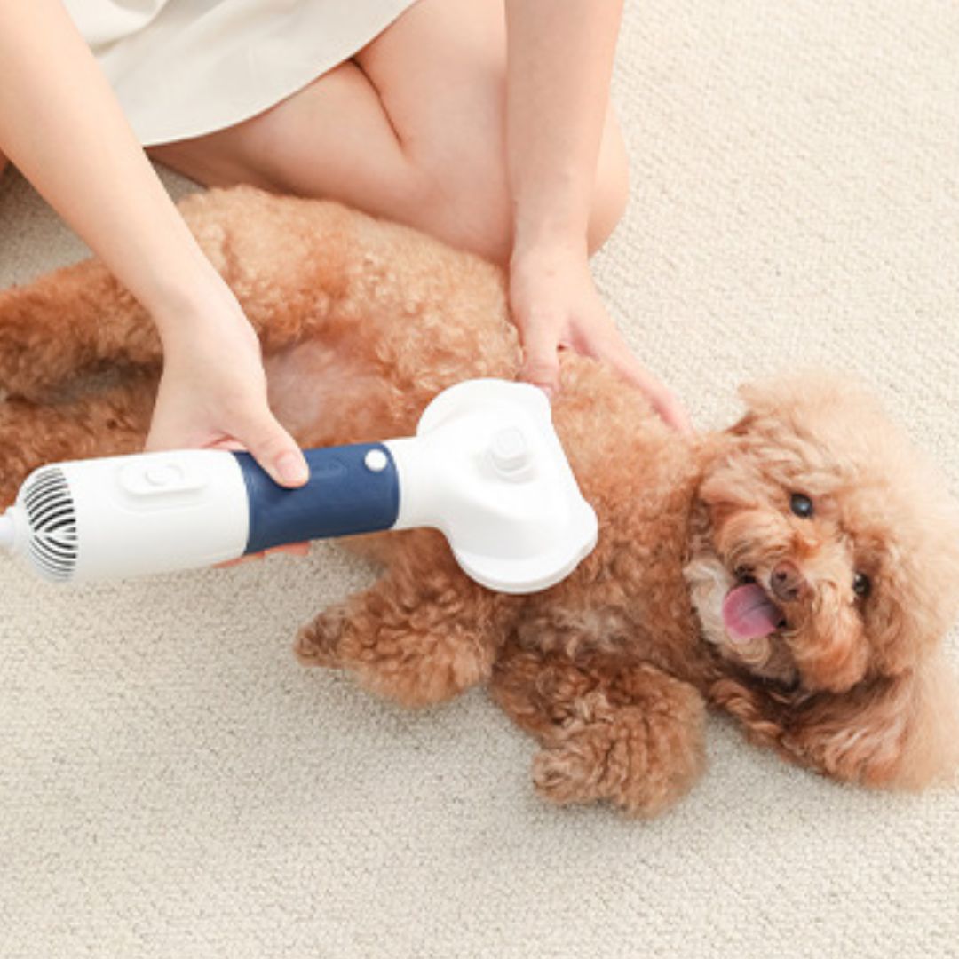 Plaukų džiovintuvas - šukos augintiniams 2 in 1 - Originalu-pigu