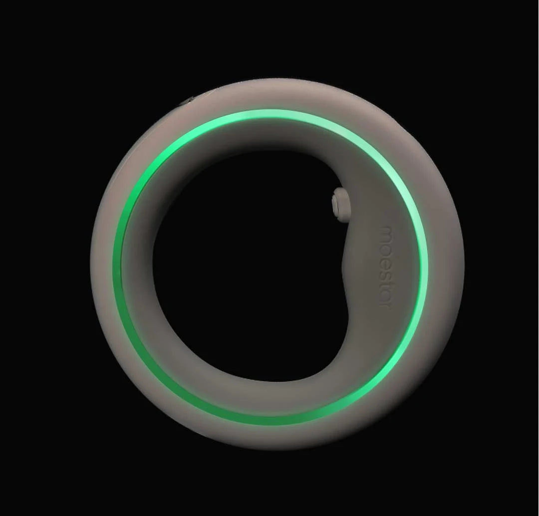 Šviečiantis šuns pavadėlis - Originalu-pigu