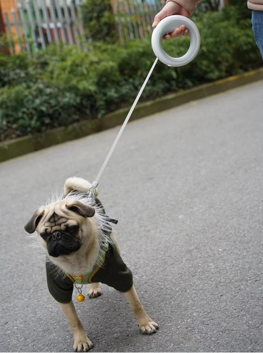 Šviečiantis šuns pavadėlis - Originalu-pigu