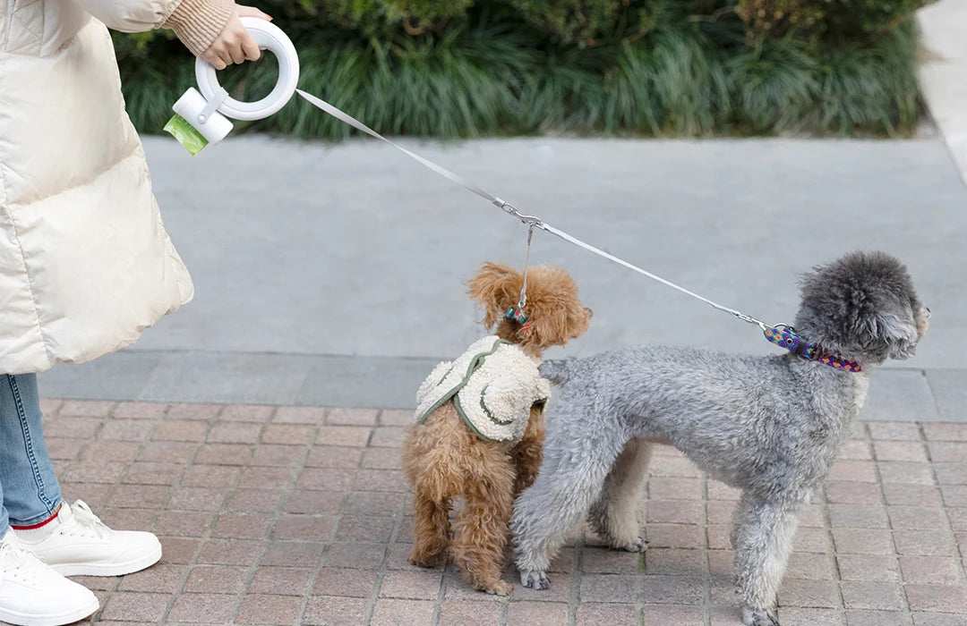 Šviečiantis šuns pavadėlis - Originalu-pigu