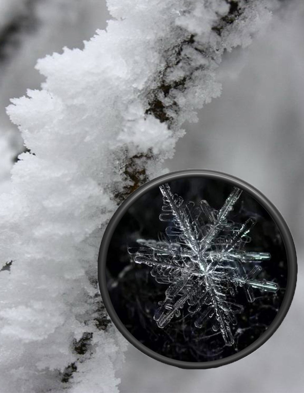 Nešiojamas teleskopas - Originalu-pigu