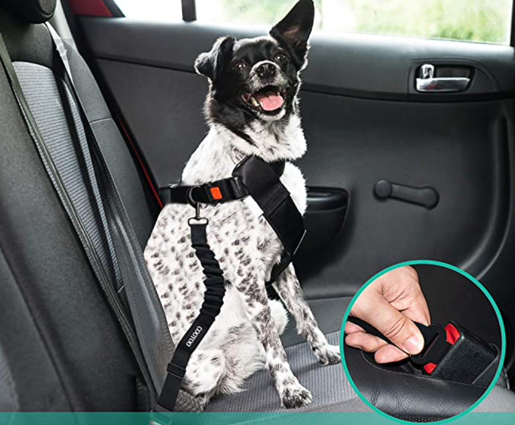 Naminių gyvūnėlių saugos diržas automobiliui - Originalu-pigu