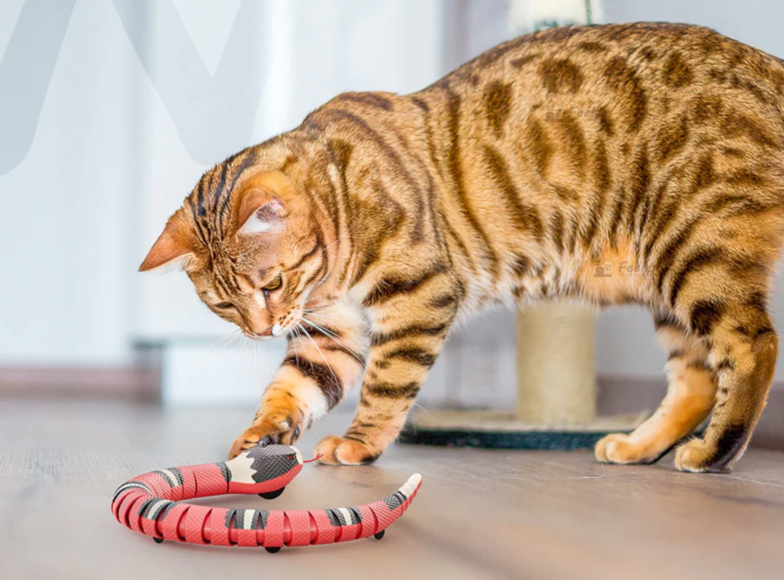 Interaktyvus žaislas katėms TailTangles™ - Originalu-pigu