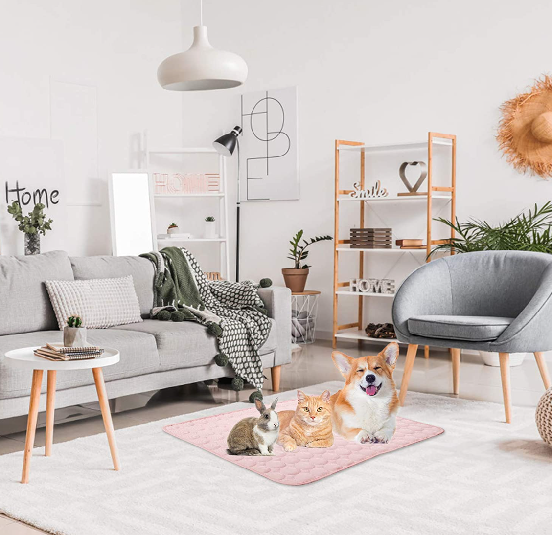 Vėsinantis kilimėlis gyvūnams Furrrefresh™ - Originalu-pigu