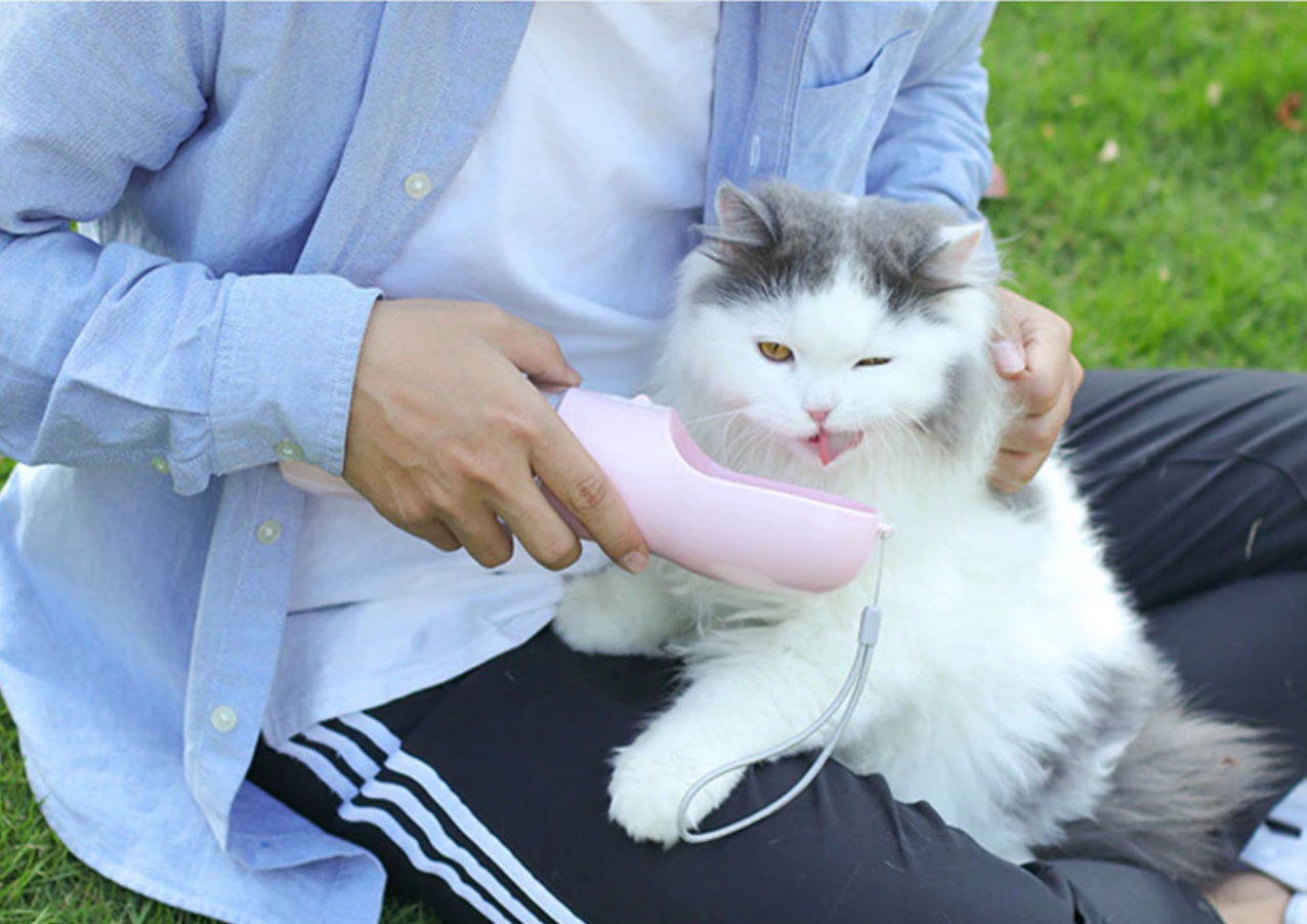 Nešiojamas vandens ir maisto buteliukas - Originalu-pigu