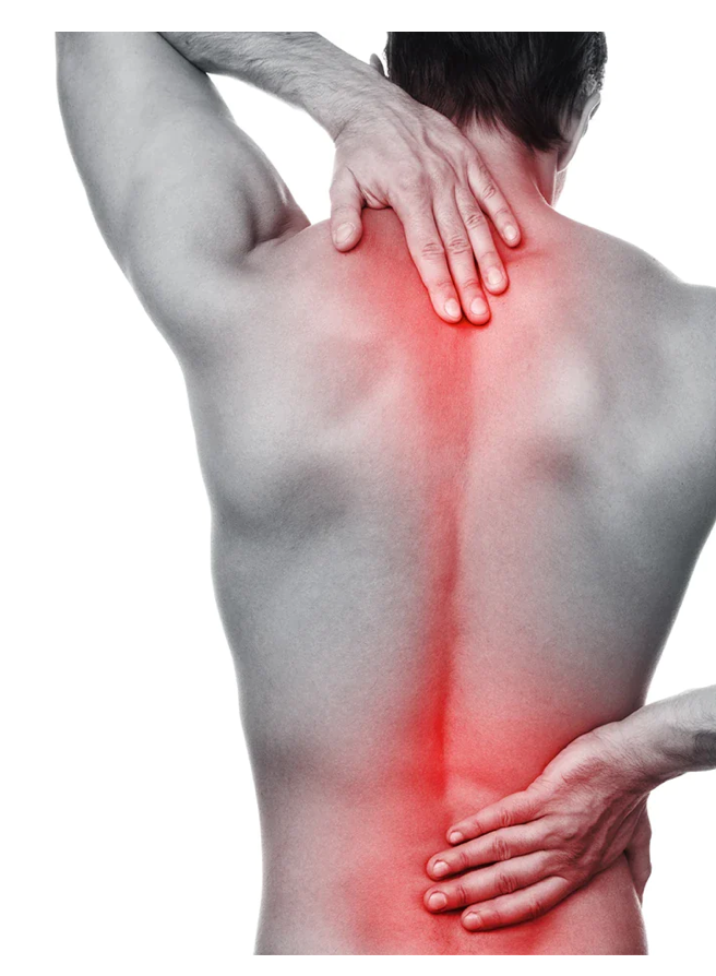 Ortopedinis nugaros treniruoklis - Originalu-pigu