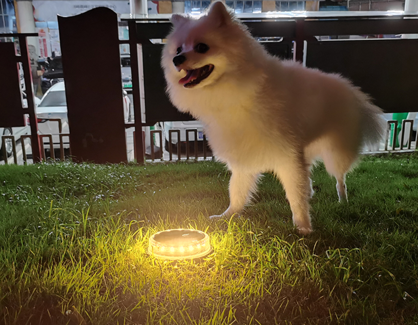 LED žibintai su saulės baterija (4 vnt.) - Originalu-pigu