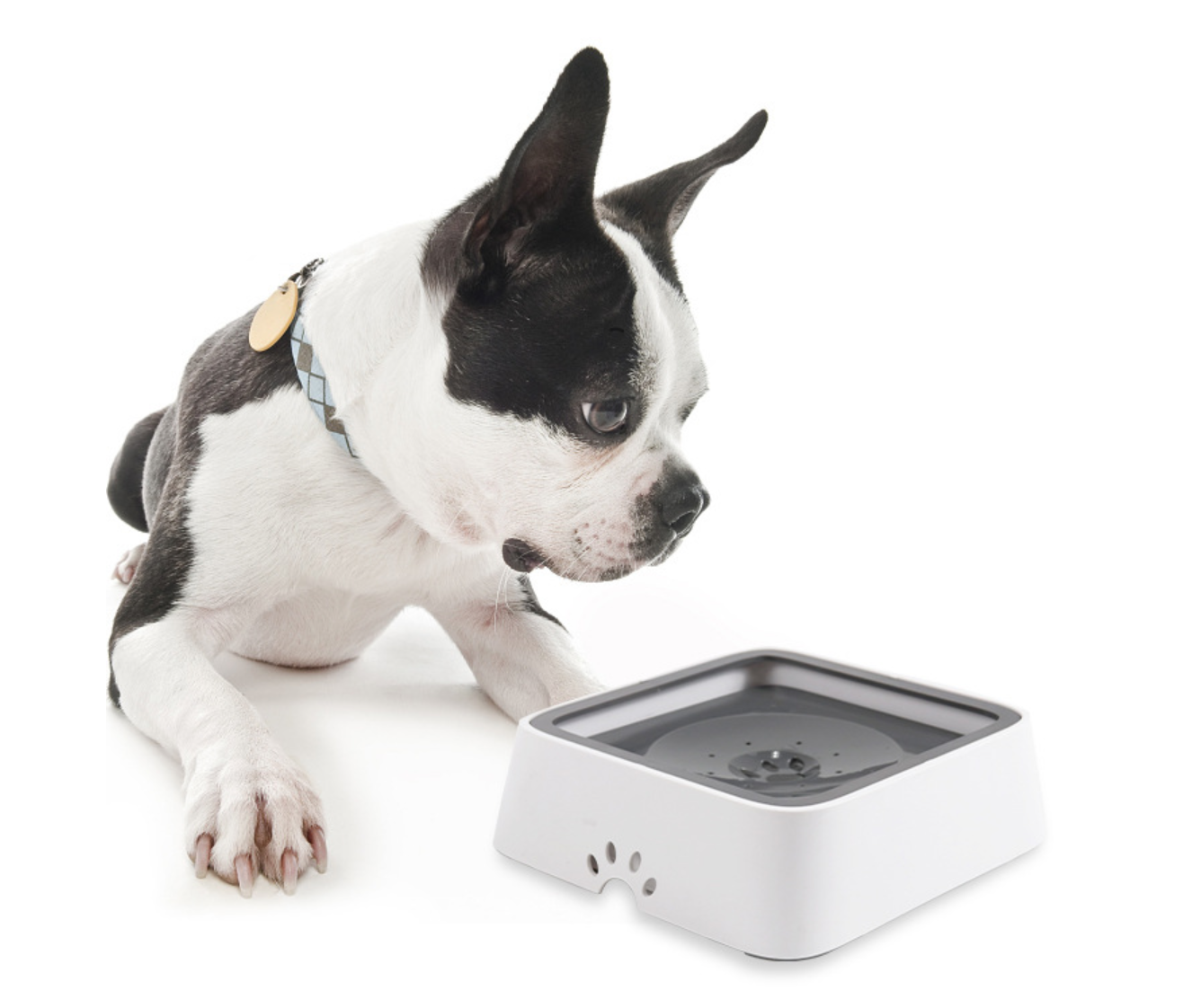 Vandens dubenėlis gyvūnams - Originalu-pigu