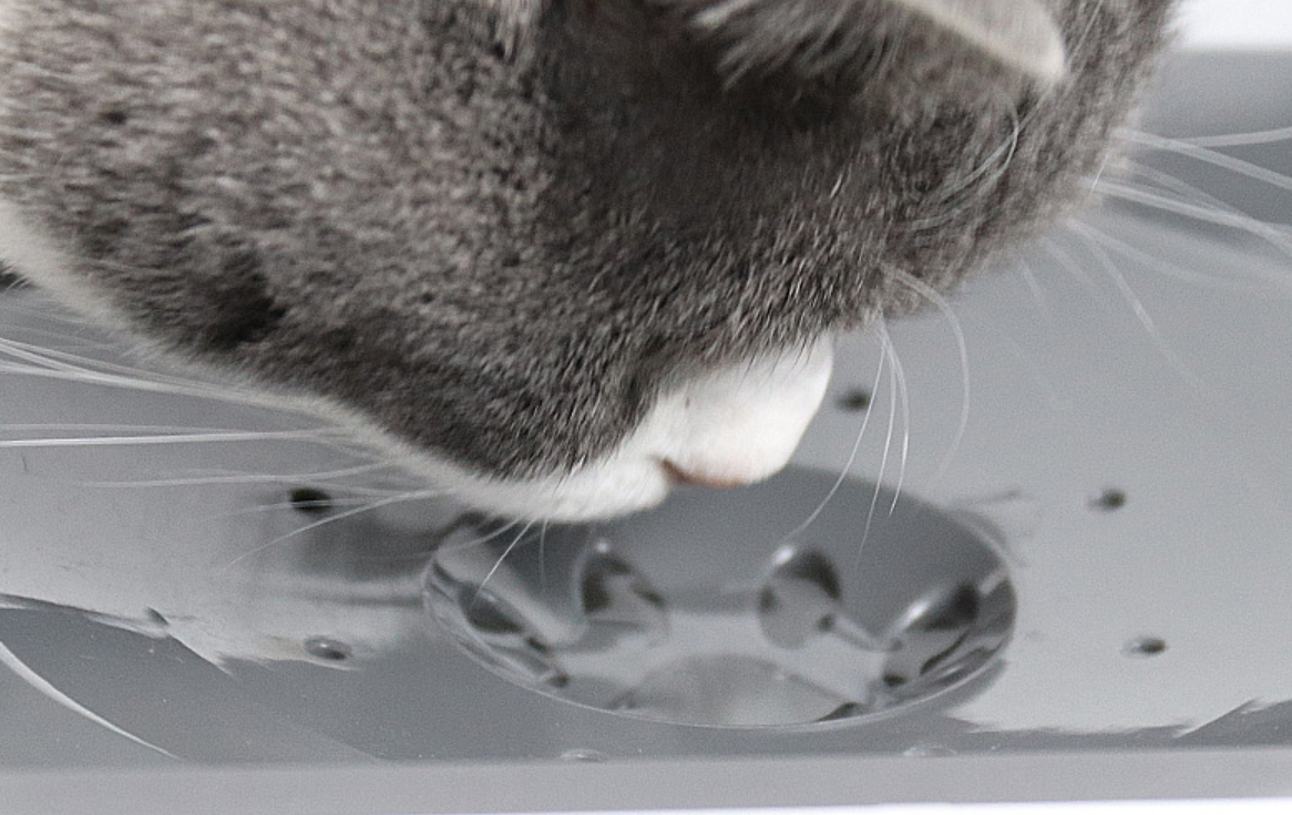 Vandens dubenėlis gyvūnams - Originalu-pigu