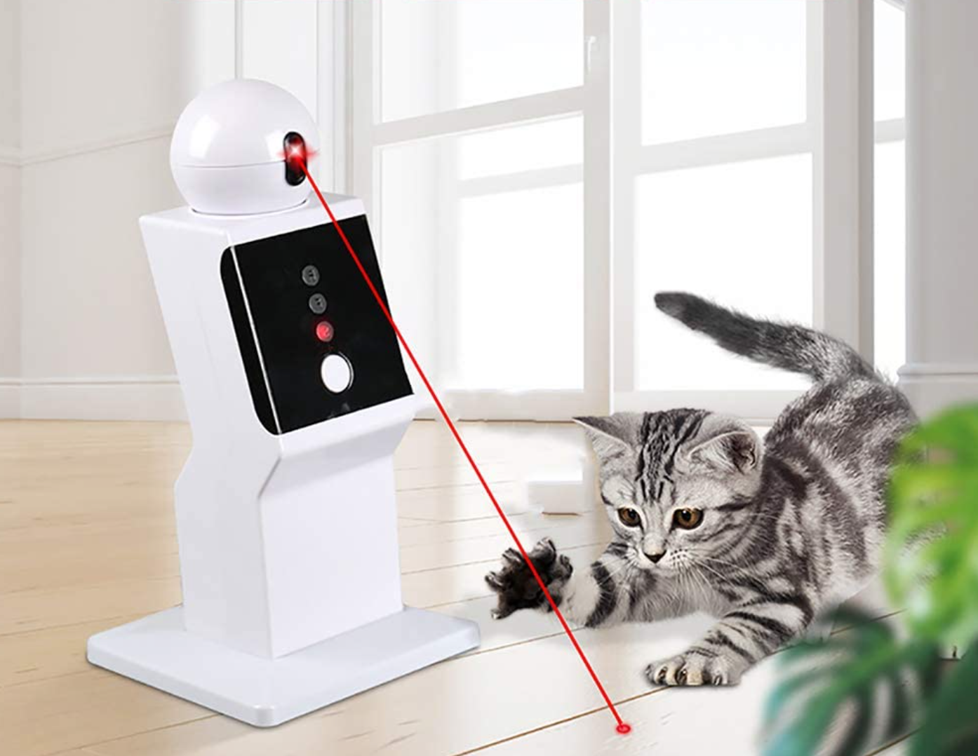 Automatinis lazeris katėms - Originalu-pigu