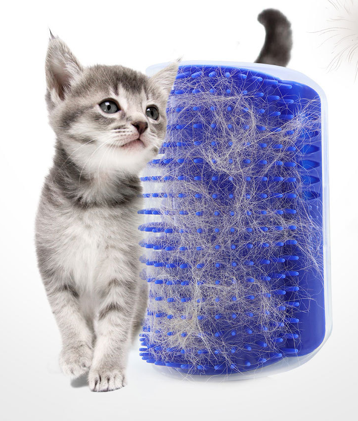 Sieninės šukos su katžole - Originalu-pigu