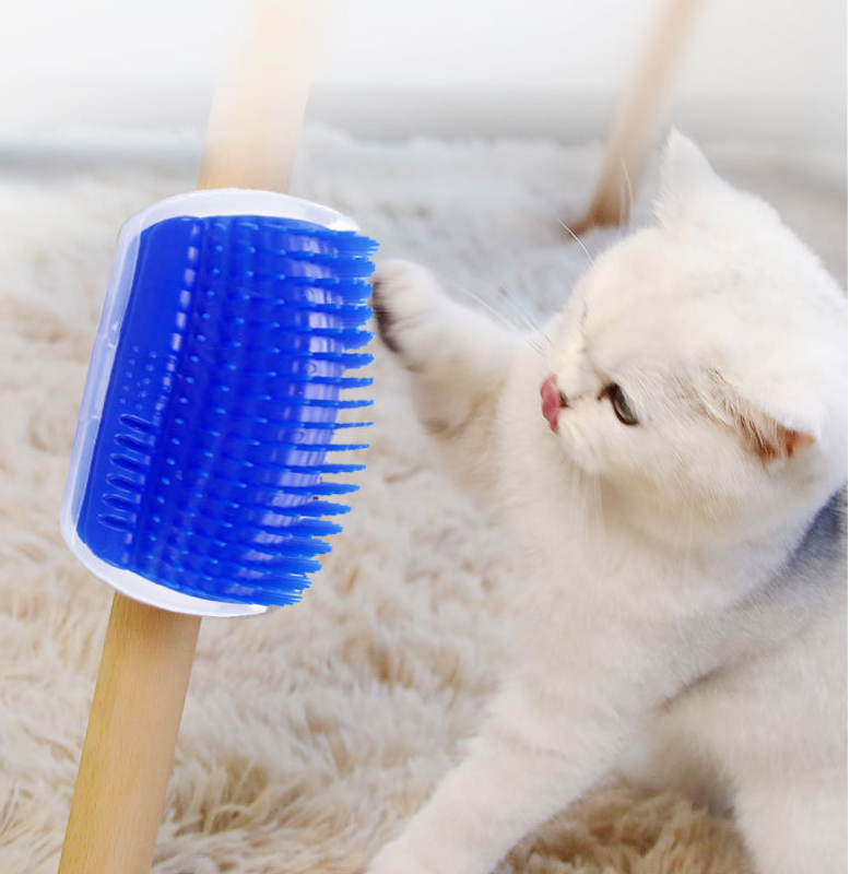 Sieninės šukos su katžole - Originalu-pigu