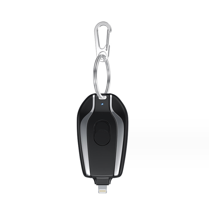 Raktų pakabukas - matinimo bankas - Originalu-pigu