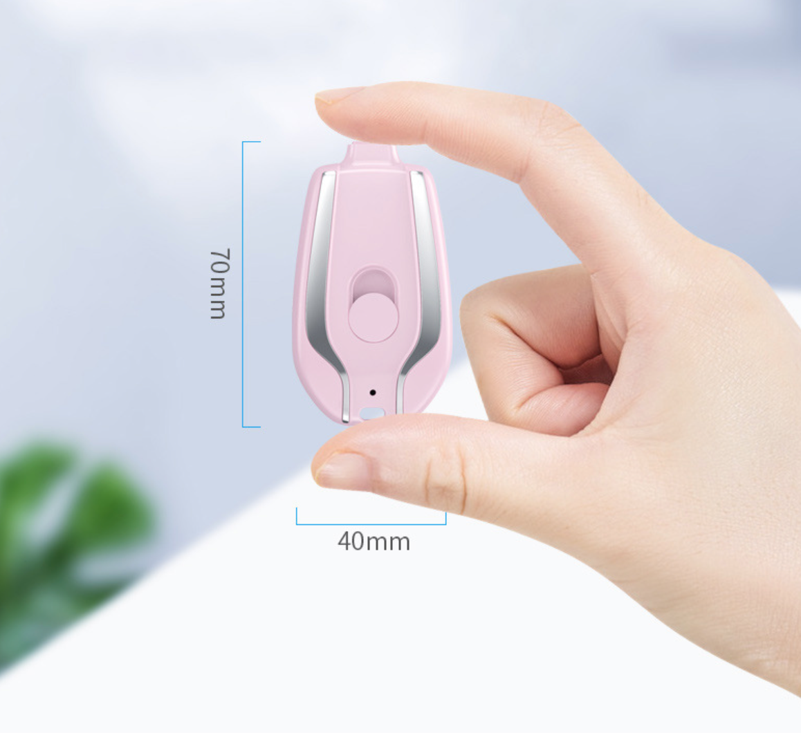 Raktų pakabukas - matinimo bankas - Originalu-pigu