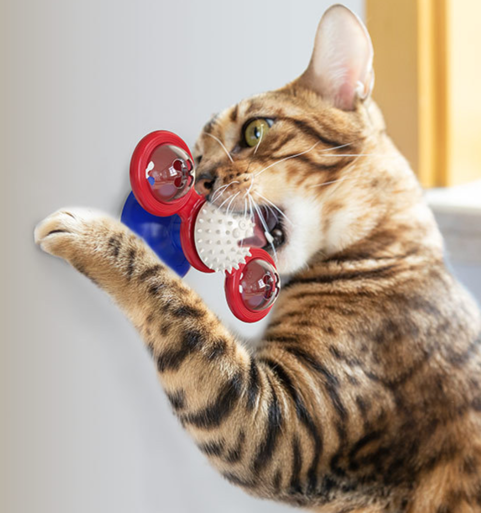 Besisukantis malūnėlis katėms - Originalu-pigu