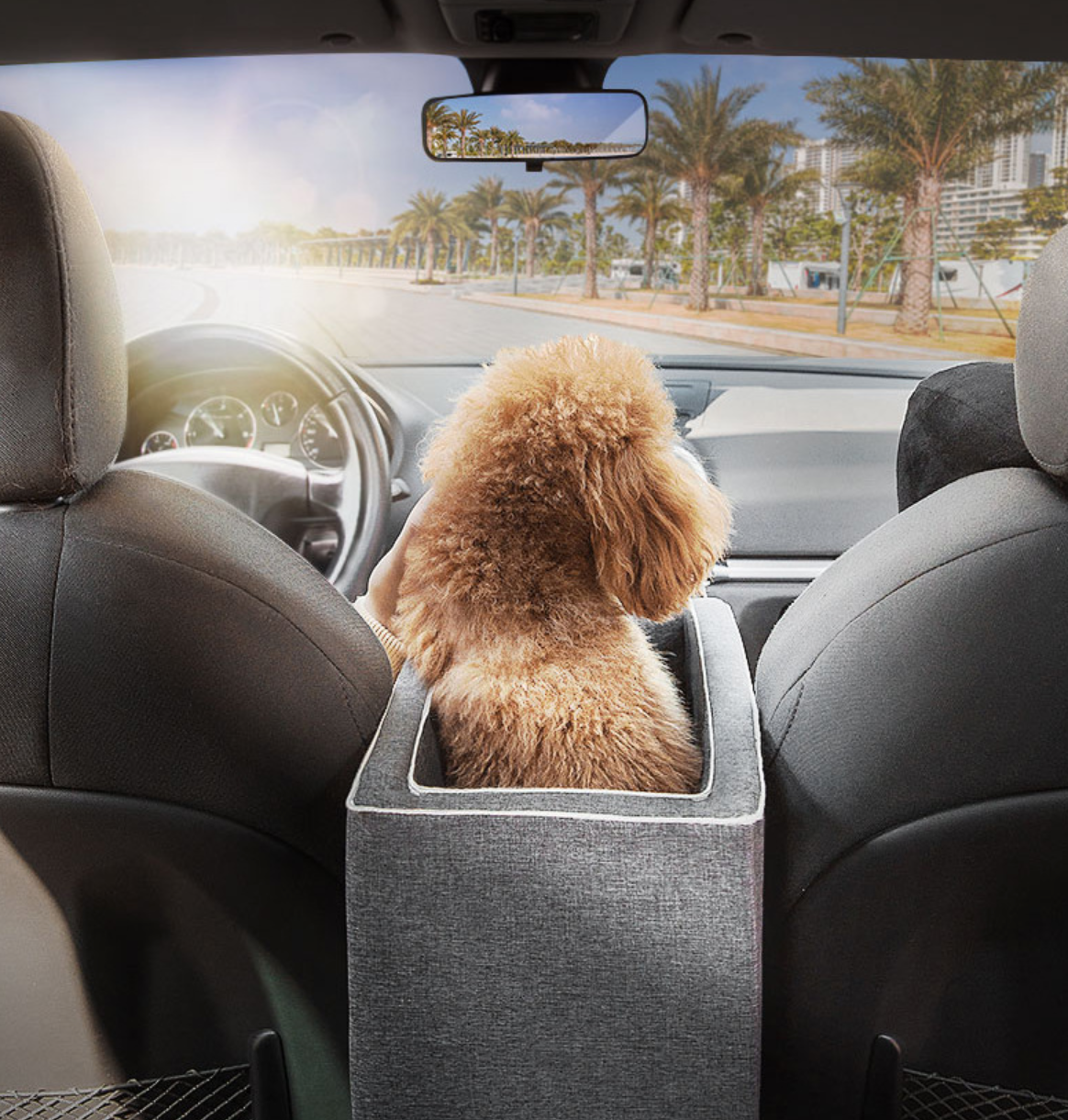 Automobilinė kėdė augintiniui