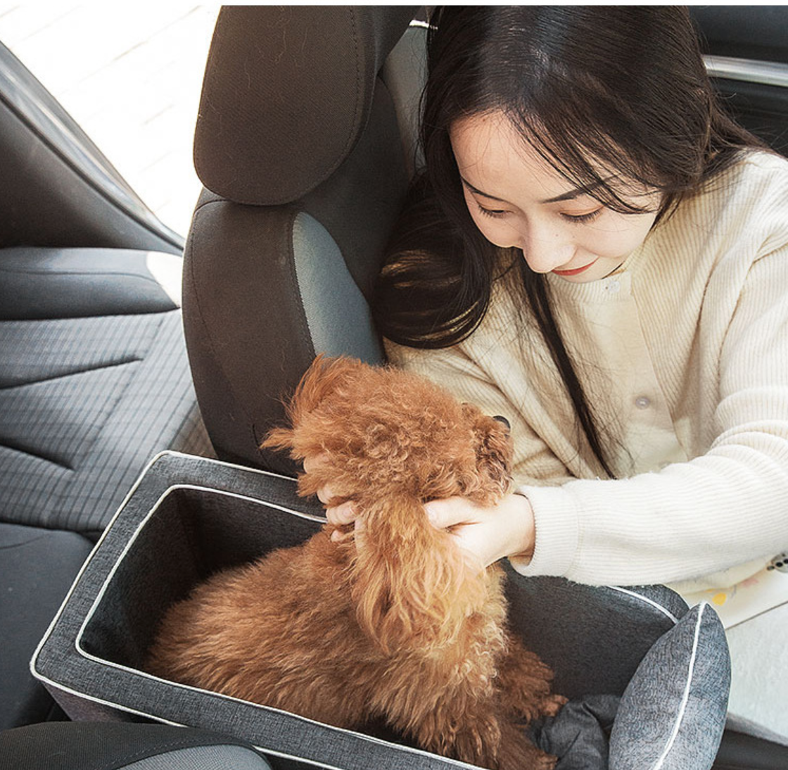 Automobilinė kėdė augintiniui