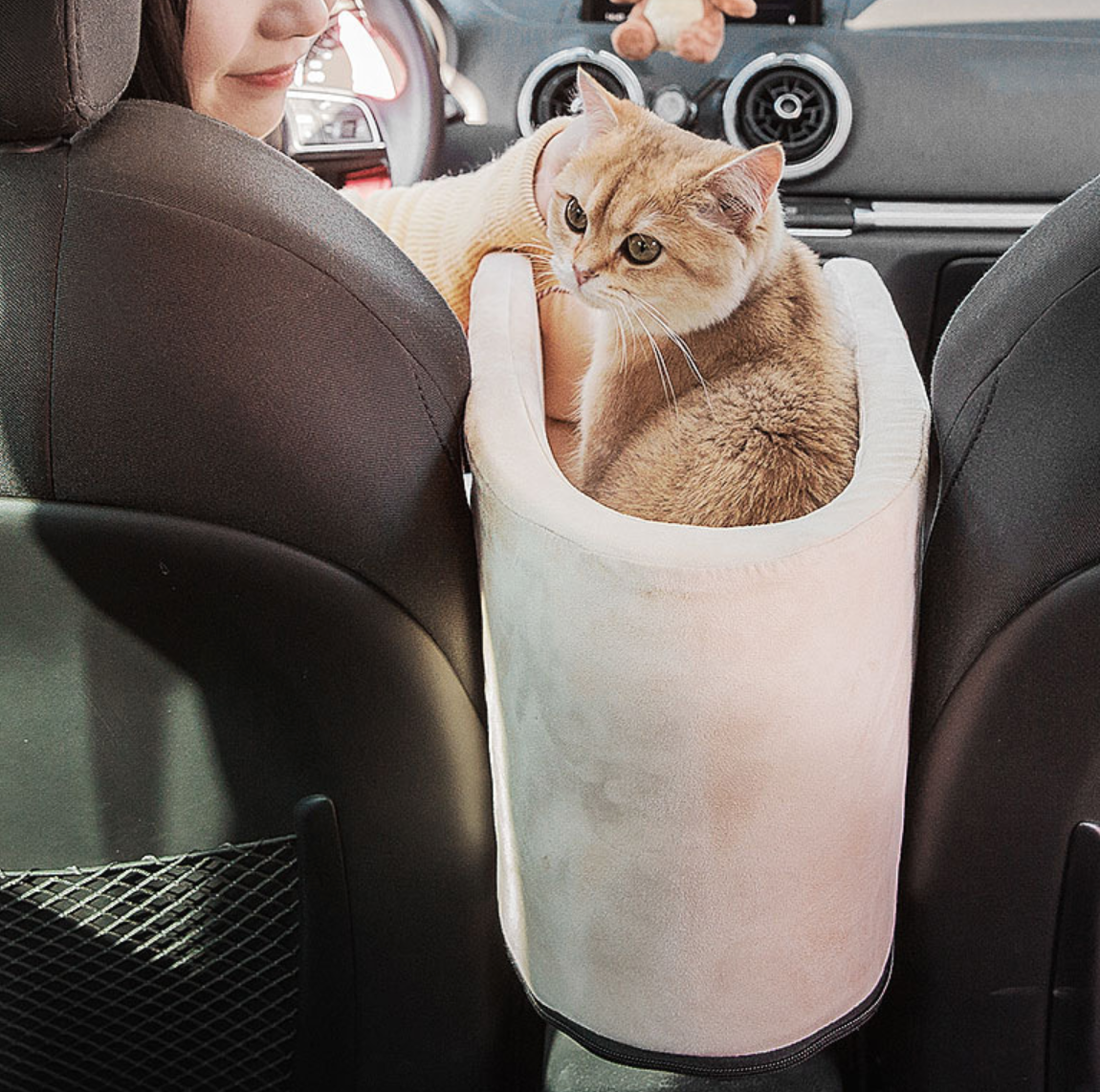 Automobilinė kėdė augintiniui