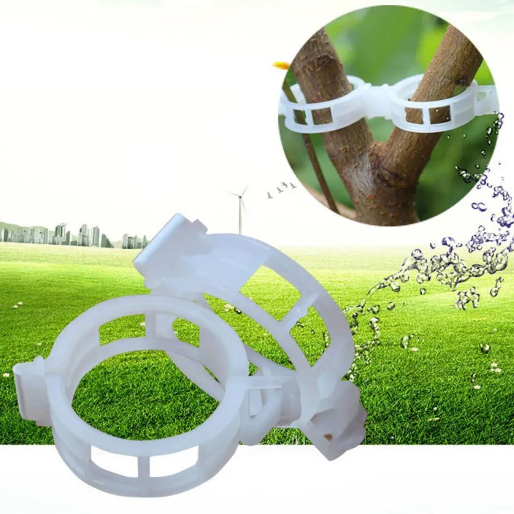 Augalų laikikliai atramai (3 vnt.)