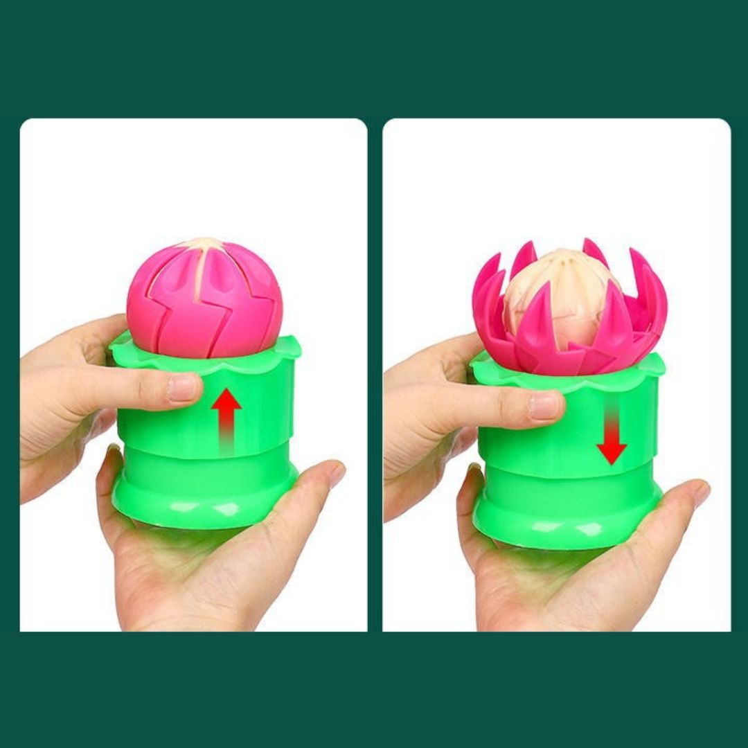 Baozi koldūnų gaminimo prietaisas