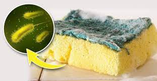 Šveitiklis su muilo dozatoriumi CleanPRO™ (3 vnt.) - Originalu-pigu