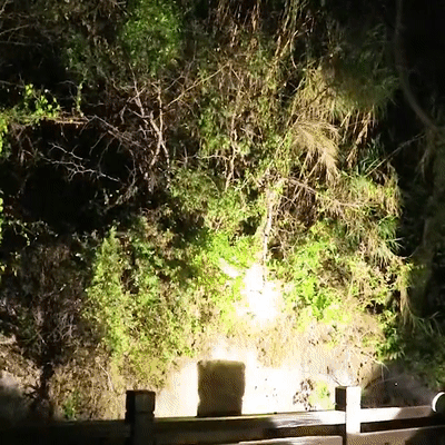 Galingas, vandeniui atsparus prožektorius - Originalu-pigu