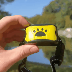 Antkaklis nuo šuns lojimo - Originalu-pigu