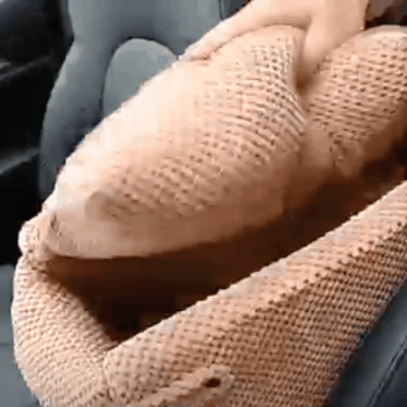 Automobilinė kėdė augintiniui