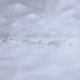 UV siurblys nuo dulkių erkučių - Originalu-pigu