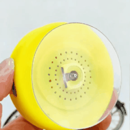 Muzikinė kolonėlė dušui