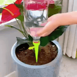 Indeliai automatiniam augalų laistymui (10 vnt.)