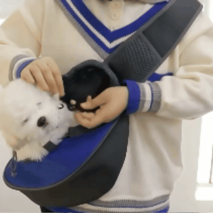 Krepšys augintiniams nešiotis - Originalu-pigu