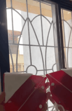 Magnetinis langų valytuvas - Originalu-pigu