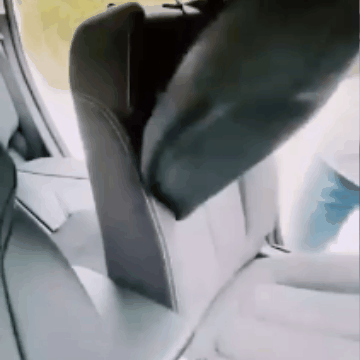 Universalus automobilio sėdynių užvalkalas