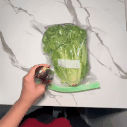 Elektrinė vakuumavimo pompa