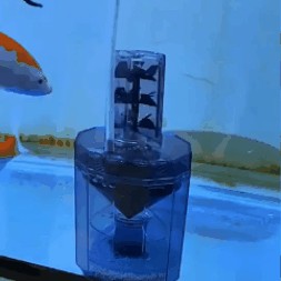 Multifunkcinis akvariumo valymo filtras - Originalu-pigu