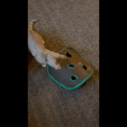 Palapinė-žaidimas katei - Originalu-pigu